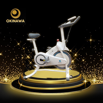 XE ĐẠP TẬP THỂ DỤC OKINAWA OS - B02