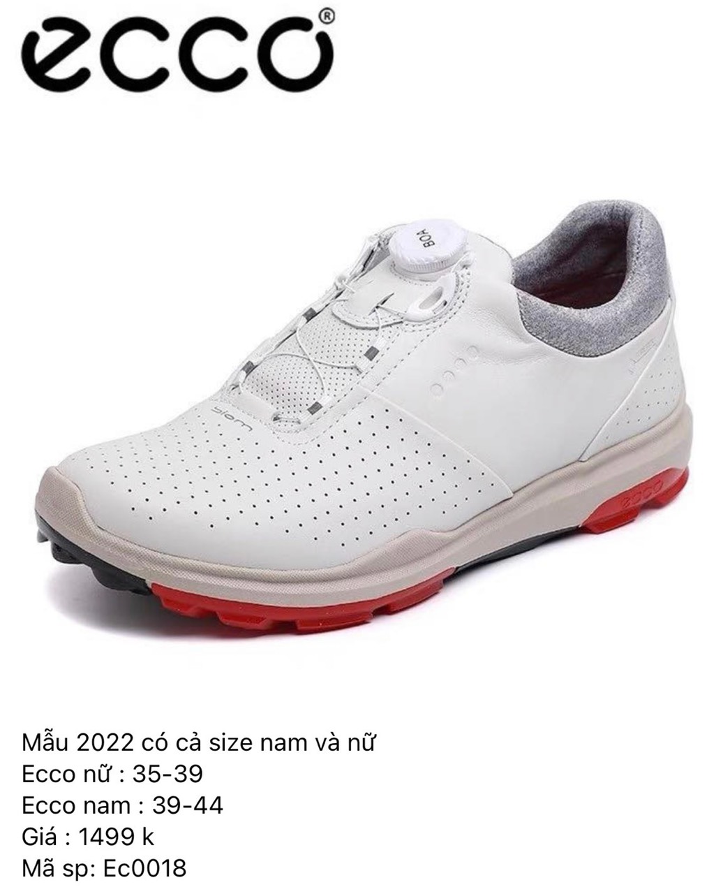 Giày golf EC0018