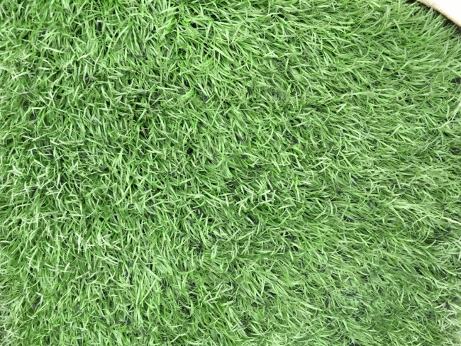 Thanh Lý Cỏ Nhân Tạo Đã Qua Sử Dụng