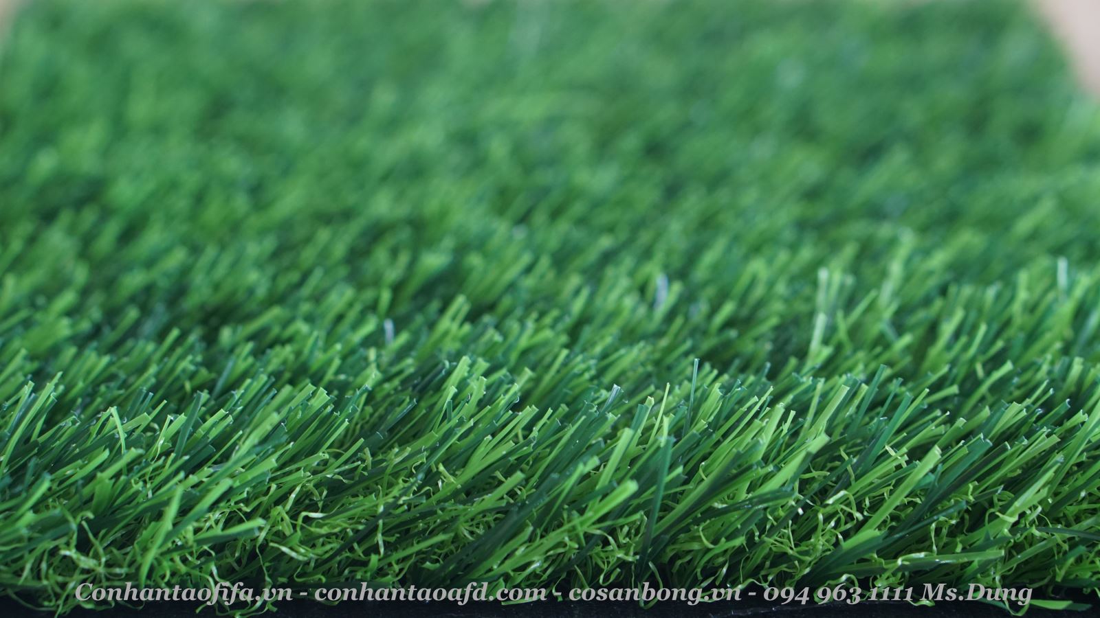 Cỏ nhân tạo AF-D3015